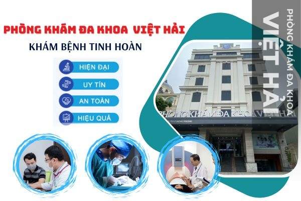 Khám chữa dứt điểm các bệnh tinh hoàn tại Phòng Khám Việt Hải