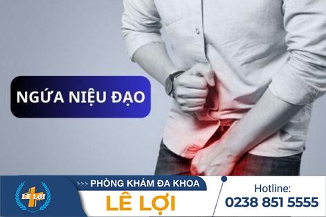 Ngứa niệu đạo ở nam giới là bị bệnh gì?